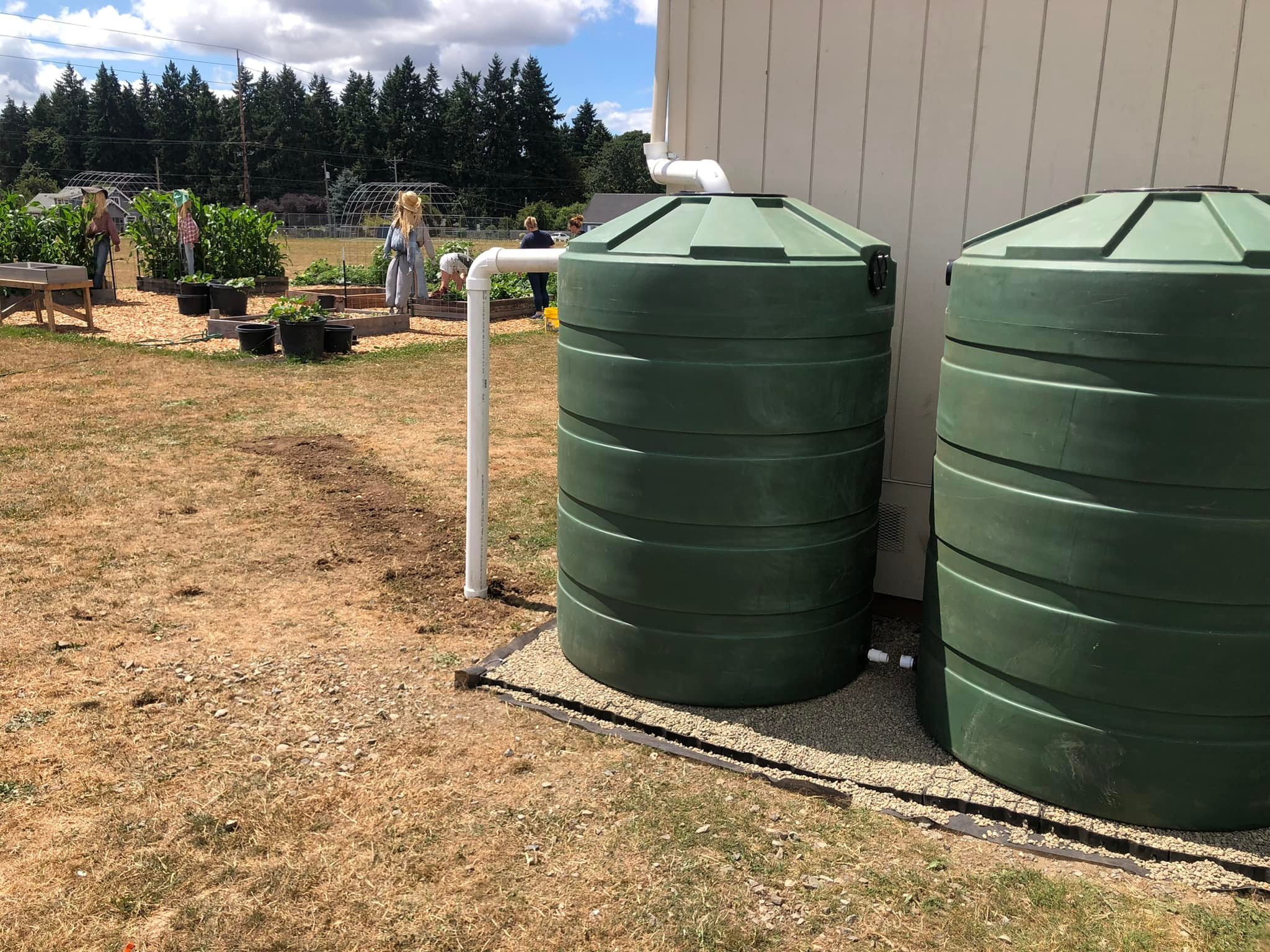 420 Gallon Rainwater Harvesting Tank | Installed by Rain Dog Designs, Gig Harbor, WA | BushmanUSA.com